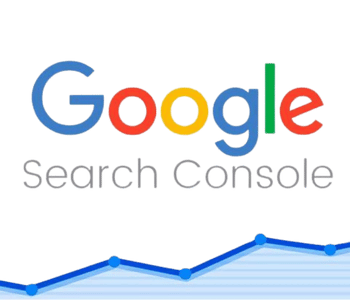 Google Search Console Icon